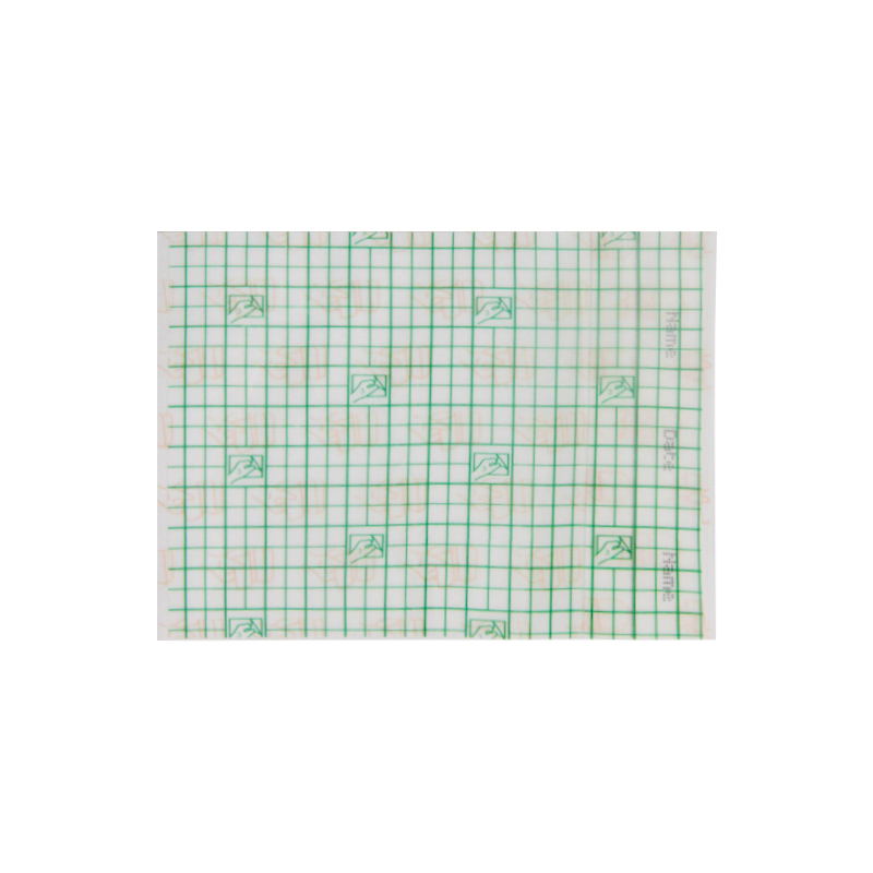 Transparent Dressing Green-Squares